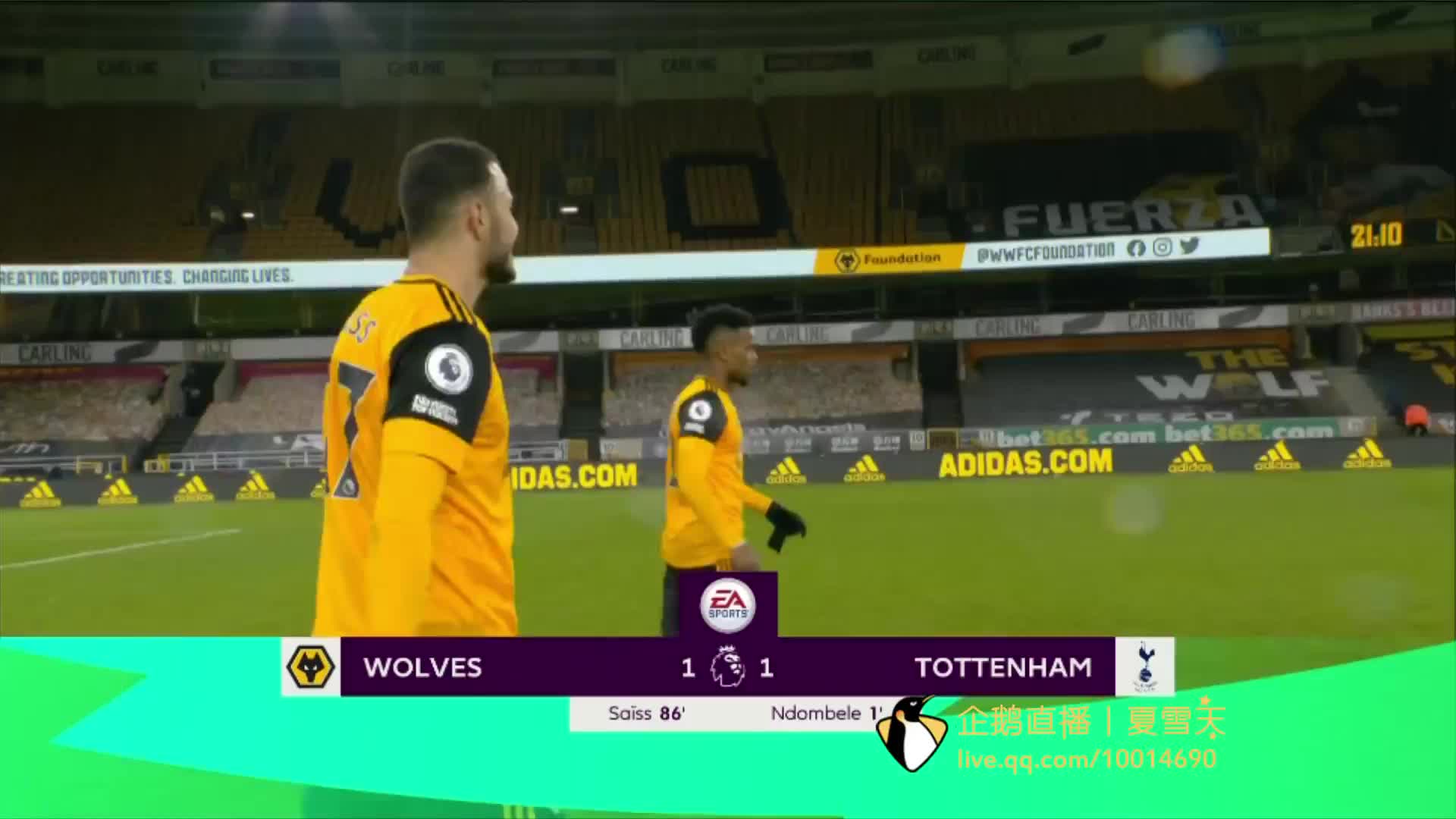 新秀与老将 新秀与老将